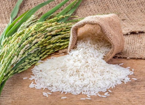 تصویر 3 از خرید برنج ایرانی درجه یک + قیمت فروش استثنایی